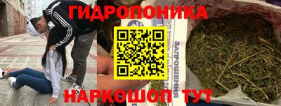 трава Партизанск