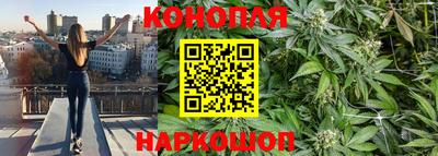 трава Партизанск